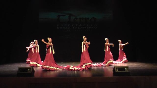 ESPECTÁCULO TIERRA 2014. VARIACIÓN CON BATA DE COLA. SOLEÁ. PALOMA MOYA CAMPOS смотреть онлайн