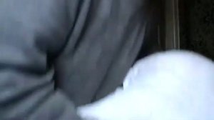 Видео прикол — Как надо правильно трахать подушку — Я трахаю подушку — Капец подушке— Геннадий Гори