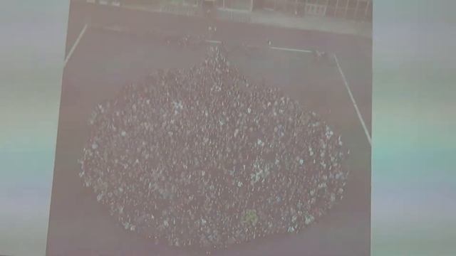 Александр Дубовской - Профессиональные сообщества как секрет успеха смотреть онлайн