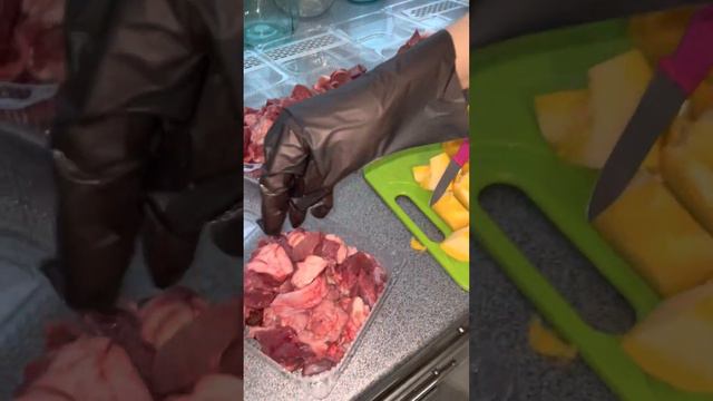 Обед для Трои.Ответы на все вопросы #canecorso #канекорсо #canecorsoitaliano #cane#троя