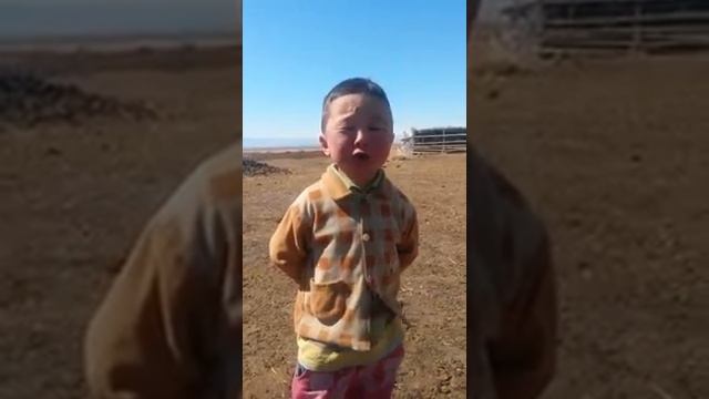 Маленький певец китайчонок!(　^ω^) смотреть онлайн