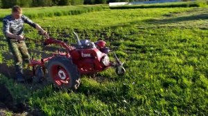 Мотоблок МТЗ - Окучиваю картофель самодельным дисковым окучником