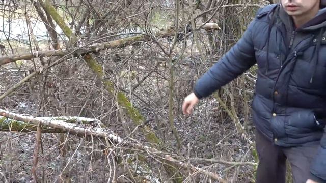 ПО ГРИБЫ В ЯНВАРЕ / ЗИМНИЕ ОПЯТА смотреть онлайн