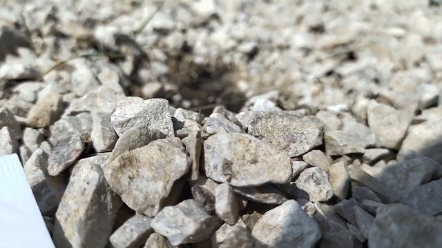 #youtube ЕСЛИ У ТЕБЯ ЕСТЬ ДАЧА. Делаем прудик? смотреть онлайн