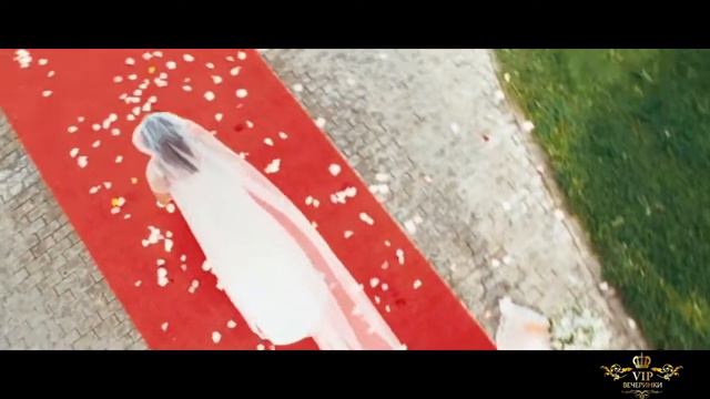 VIP Вечеринки Выездная регистрация брака смотреть онлайн