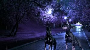 ВАРЕЧКА. ВЕДЬМИНА СИЛА. 12 серия. Мистика. Страшные истории на ночь. ( автор Дирижабль с чудесами)