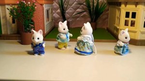 Sylvanian families (Сильваниан фэмилис). Волшебная распаковка. Семья кошек.