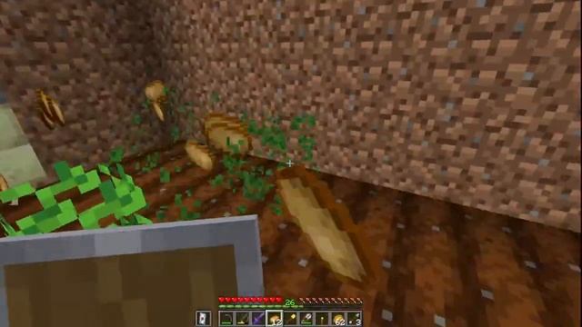 NOVA HOST?JOGANDO MINECRAFT COM INSCRITOS?PIRATA E ORIGINAL??AO VIVO? JAVA E BEDROCK !! LIVE смотреть онлайн