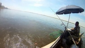 Рыбалка на тарань на нижней волге. Астраханская область Никольское
