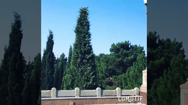 Азербайджан смотреть онлайн