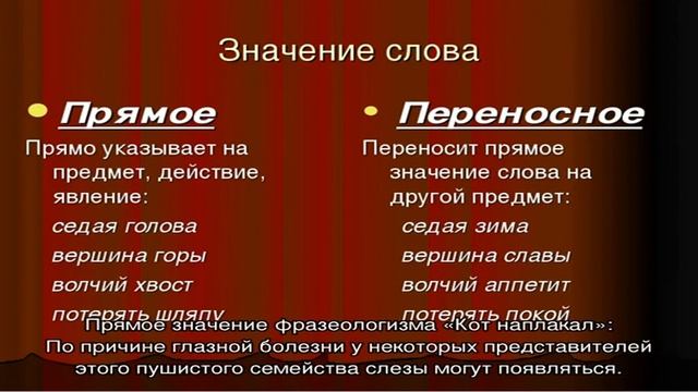 «Кот наплакал»: происхождение, прямое и переносное значение фразеологизма, объяснение одним словом. смотреть онлайн