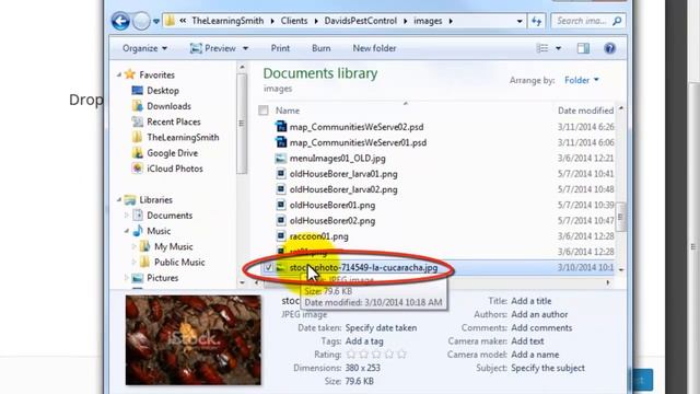 How to Create a New Blog Post || pujaabhishekam.com || wordpress admin смотреть онлайн
