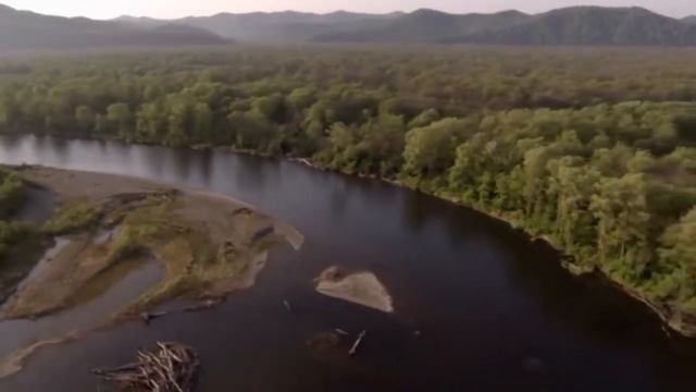 ЦЗЛ Хабаровского края смотреть онлайн