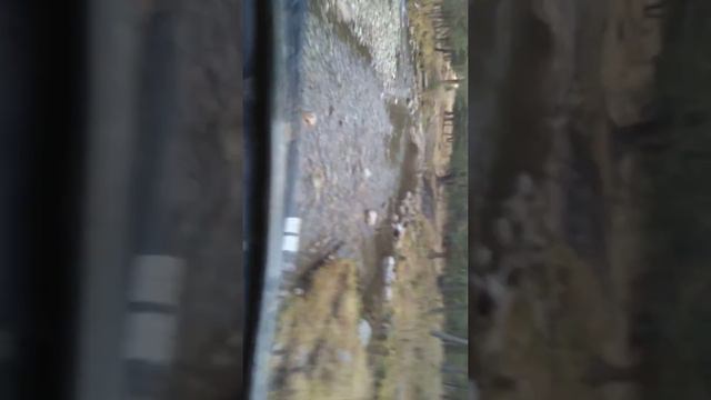 Горный Алтай из окна УАЗ смотреть онлайн