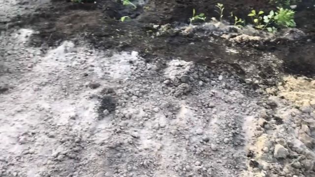 Vlog ????  снова нарядилась ? спасла пионы после мороза / развивашки для ребёнка