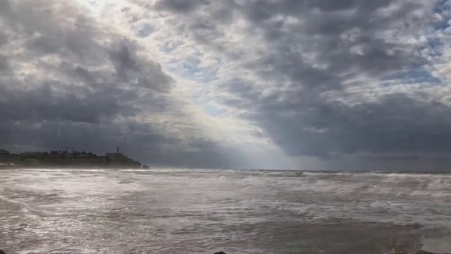Звуки море и чаек для релакса смотреть онлайн
