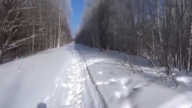 Поездка по угодьям на снегоходе. смотреть онлайн
