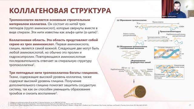 Антиэйджинг. Профилактика старения, как норма жизни! Дмитрий Семирядов. смотреть онлайн