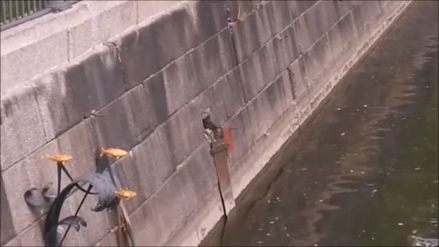 Кронштадт. Маршрут одного дня с подробностями. Часть 1 смотреть онлайн