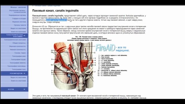 Как быстро научиться учиться | Сдать сессию в МЕДе | Советы студента-медика смотреть онлайн