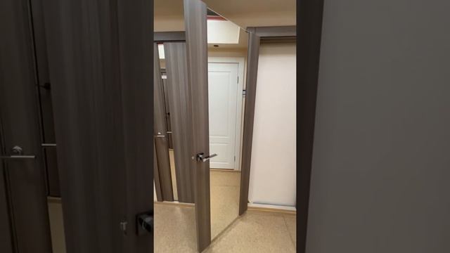 Межкомнатные двери ЭСТЕТ Стиль, Керамик (полное зеркало) смотреть онлайн