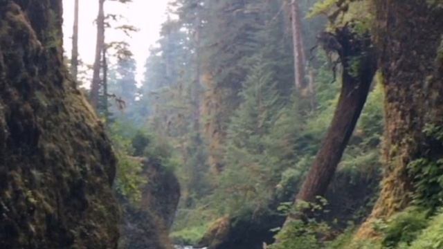 В равновесии. История из жизни. У костра. Рассказывает : Евгений Бовкун.