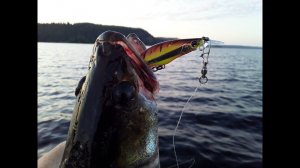 Лучшие и худшие копии  Соответствие оригиналам, уловистость, надежность  Часть 2