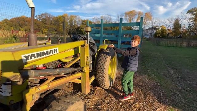 Посетили Decker Farm в Статен-Айленд//Нью-Йорк смотреть онлайн