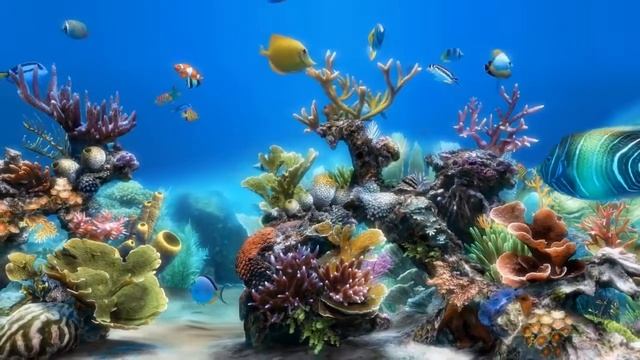 Красивый Виртуальный Аквариум - Заставка для телевизора