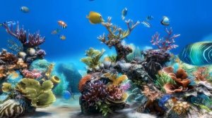 Красивый Виртуальный Аквариум - Заставка для телевизора