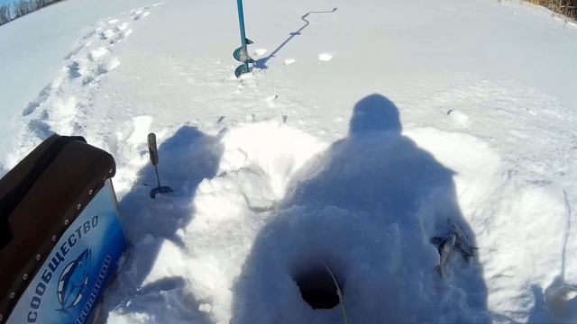 ЖОР ПЛОТВЫ(СОРОГИ)ЗИМОЙ!ЛОВЛЯ НА МОРМЫШКУ,ДОНКУ,МОТЫЛЬ!(8.03.2018)ЧАСТЬ 2. смотреть онлайн