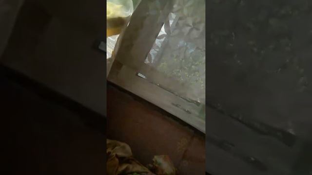 Обзор на экшн камеру SJCAM