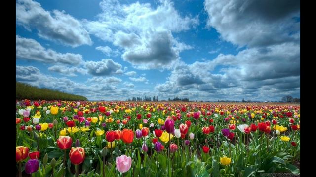 ДиДюЛя - "Шелковая лента" смотреть онлайн