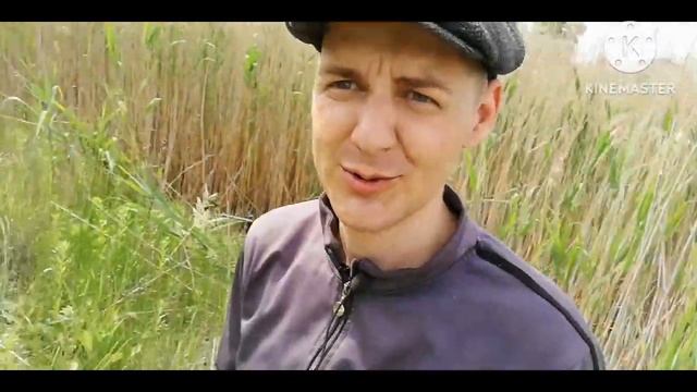 Покос Камыша на Велоприцепе тест Драйф смотреть онлайн