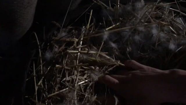 Как Проверить Яйца под Мускусной уткой / нужно ли проверять яйца под наседкой / Насиживание индоутя смотреть онлайн