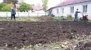 Вспашка огорода мотоблоком МБ-1д1.