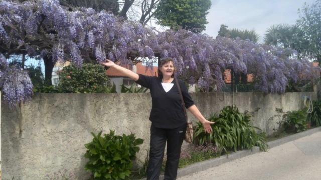 Картинки впечатлений. Португалия. Апрель 2023 г смотреть онлайн