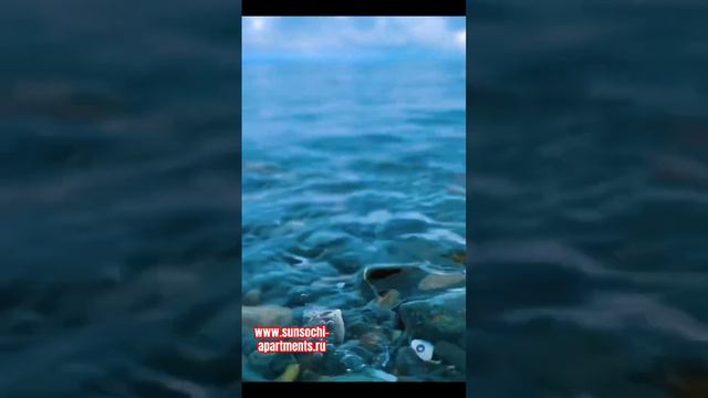Апартаменты в Сочи у моря #сочи #море #кудапоехать #отдыхвсочи #вкуснопоесть #отдыхнаморе смотреть онлайн