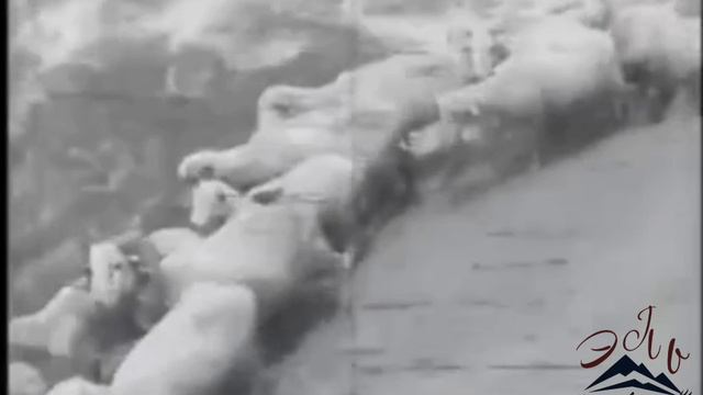 Чародинцы 70-х смотреть онлайн