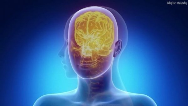 Whole Body Rejuvenation - Eliminates All Negative Energy, Healing Body, Mind and Spirit, 432 Hz