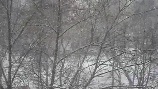 Песня "Растаяли снежинки на губах"/ Song "The snowflakes have melted on the lips" смотреть онлайн