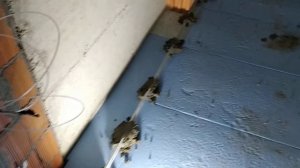 маяки для стяжки по пенопласту