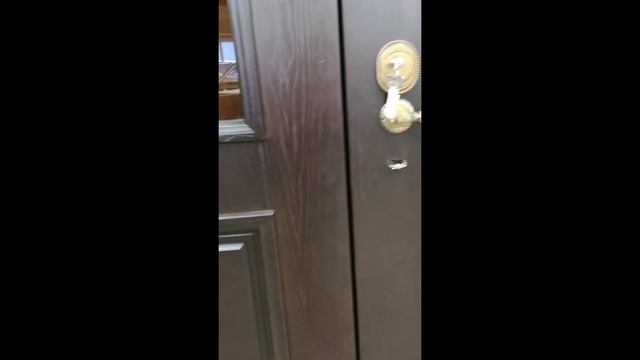 Двустворчатая входная дверь со стеклом для частного дома, купить от производителя без посредников смотреть онлайн