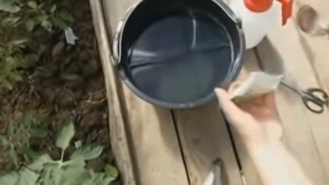 ГЛАВНЫЙ СЕКРЕТ СУПЕР УРОЖАЯ. ПОДКОРМКА ПОМИДОР ВО ВРЕМЯ ЦВЕТЕНИЯ ДЛЯ УВЕЛИЧЕНИЯ УРОЖАЯ. смотреть онлайн