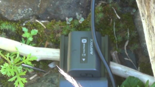 Часть 6 Морем от Чумикана до Кирана смотреть онлайн