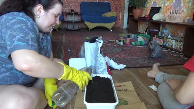 Влог/ Самоизоляция/ Горячие бутерброды/ Рассада/ Грибной суп/Покупки/