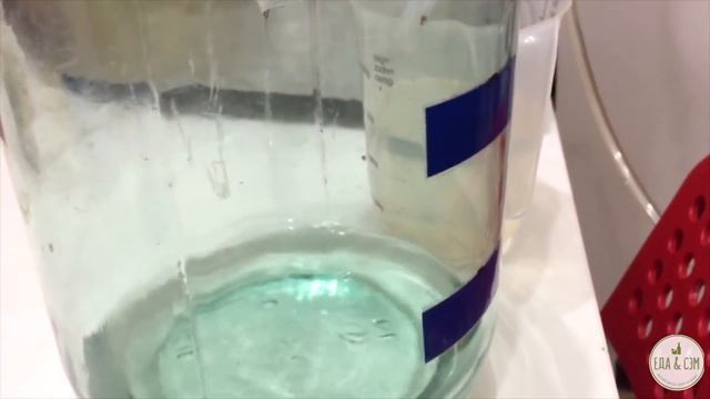 Полугар.Очень простой рецепт! Идеальный для квартирных условий!