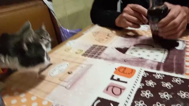 Пан Витольд желает выпить на брудершафт! смотреть онлайн