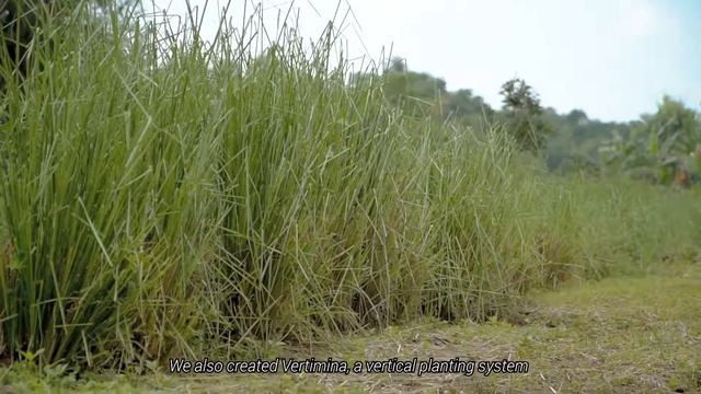 Community Flood Resilience Program at Bengawan Solo River, Central and East Java Province, Indonesi смотреть онлайн
