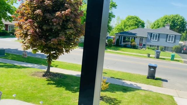 281. Завтрак во дворе. Французский тост смотреть онлайн